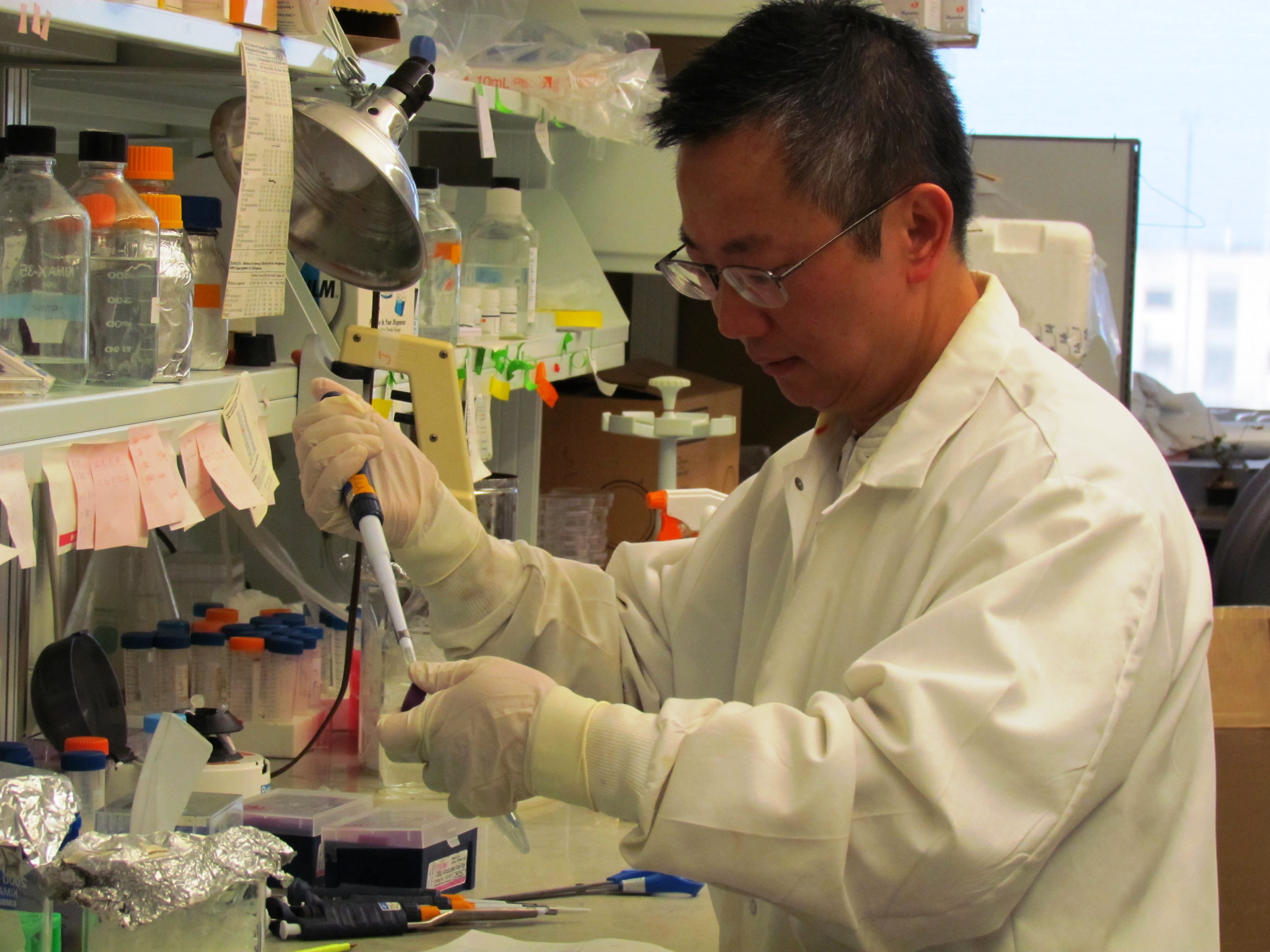 Dr. Peter Zhou found that triple-negative breast cancer cells are missing a key enzyme that other cancer cells contain.