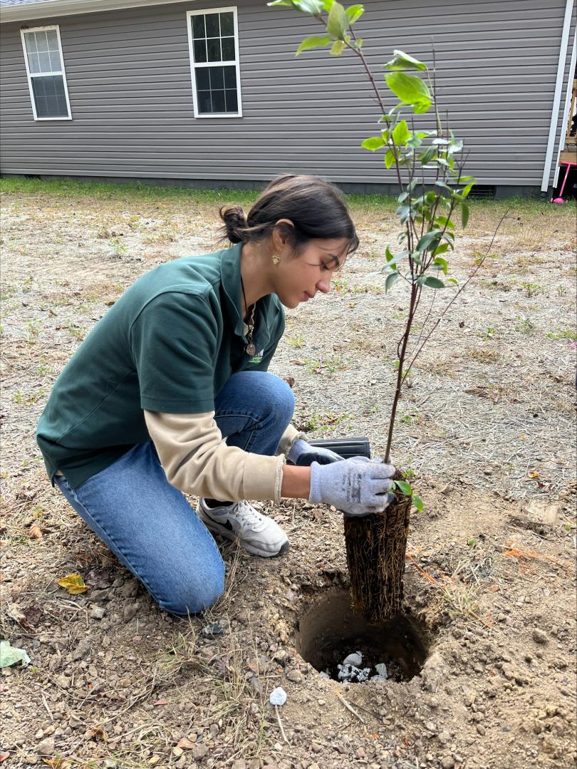 student plants a tree